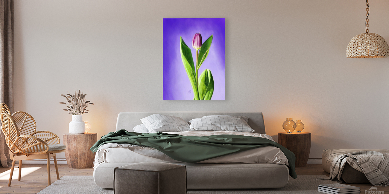 A Showcase Tulip Digital Reproduction