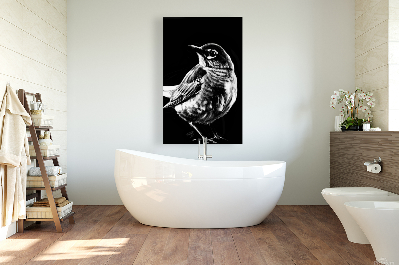 Robin in the Shadow Reproduction