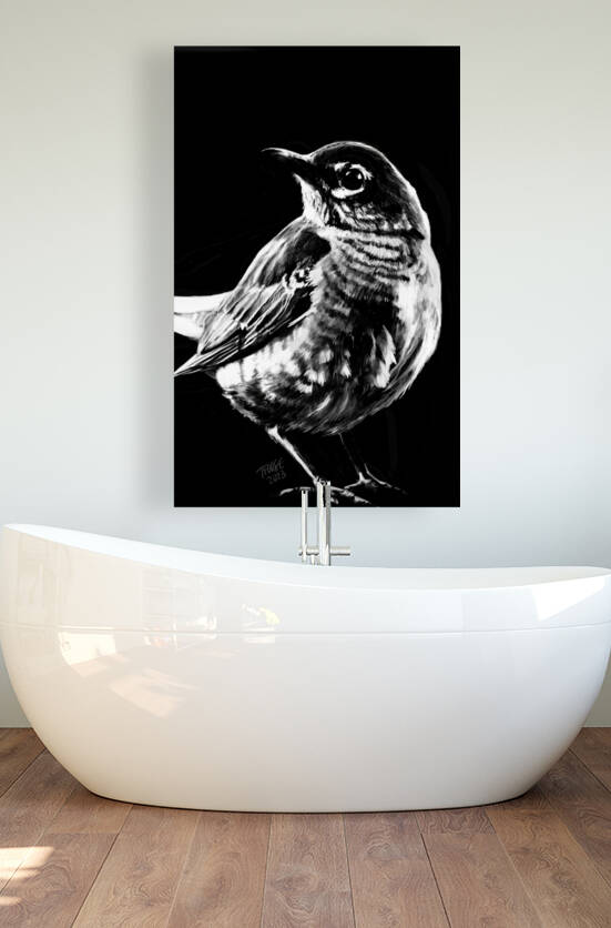 Robin in the Shadow by Taphath Foose