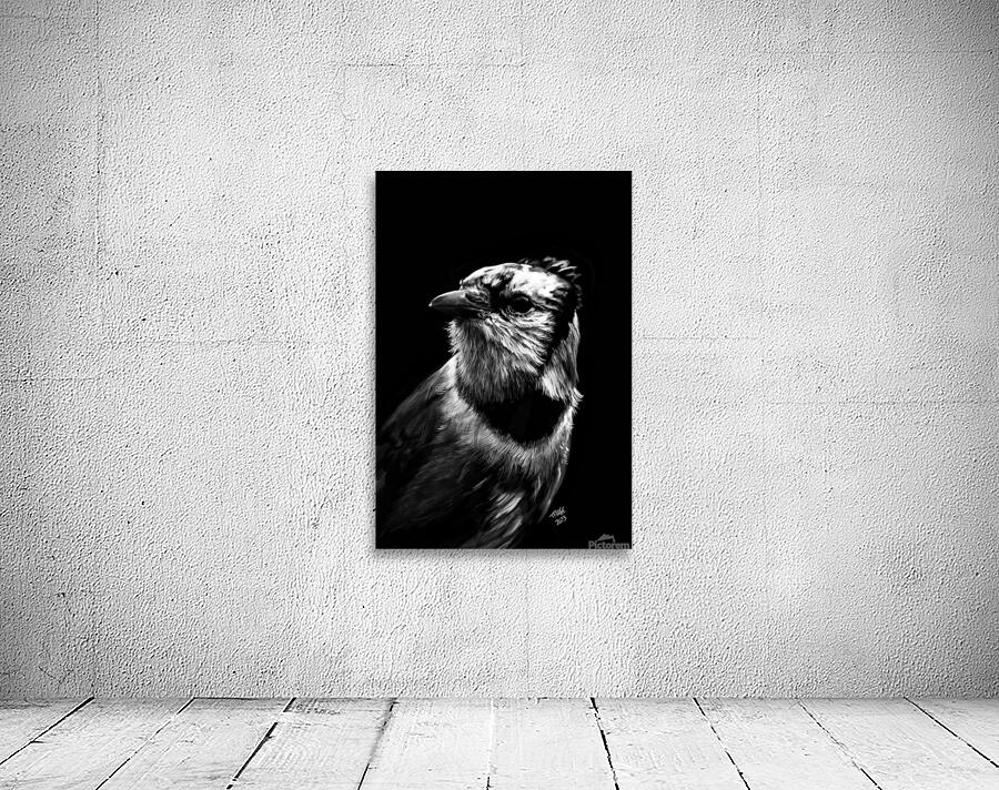 Bluejay in the Shadow Wall Preview