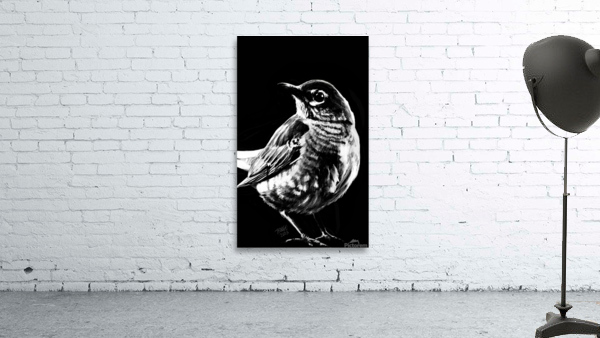 Robin in the Shadow Wall Preview