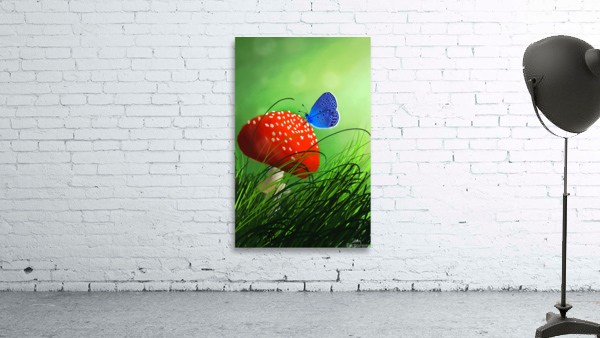 Enchanted Mushroom Wall Preview