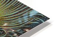 Full Bloom HD Metal print