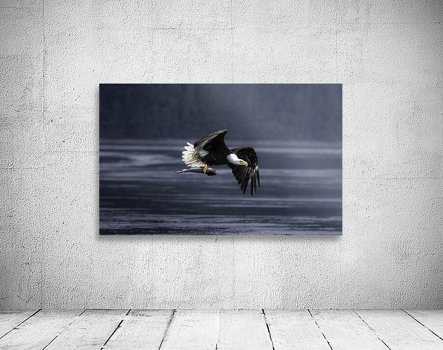 Mighty Bald Eagle Wall Preview