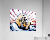Tigre Acrylic Print