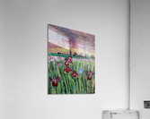 Iris Acrylic Print