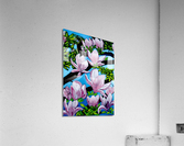 Magnolias Acrylic Print