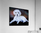 Chien Acrylic Print