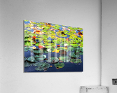Nenuphares Acrylic Print