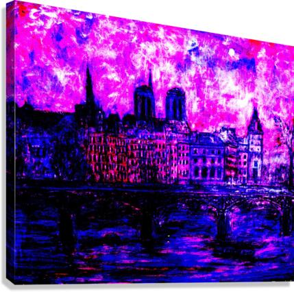 Vue de Paris Canvas Print