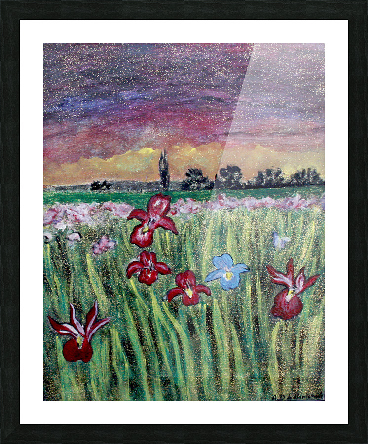 Iris Picture Frame print