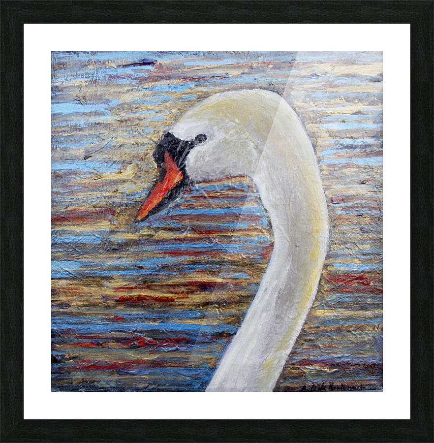 Cygne Picture Frame print