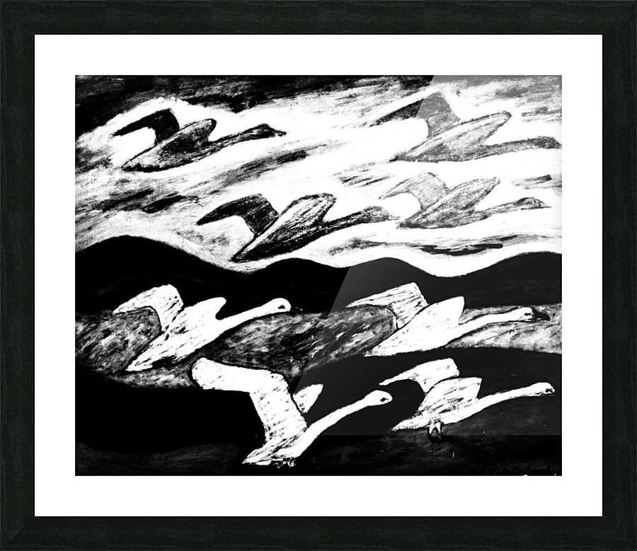 Vol doiseaux Picture Frame print