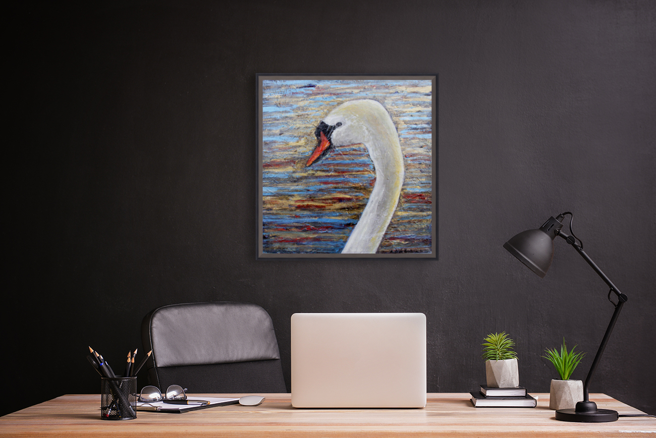 Cygne Reproduction