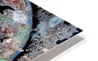 Planete oiseaux HD Metal print