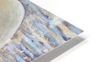 Cygne HD Metal print