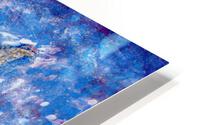 Etoile de mer HD Metal print