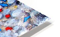 Arbre HD Metal print
