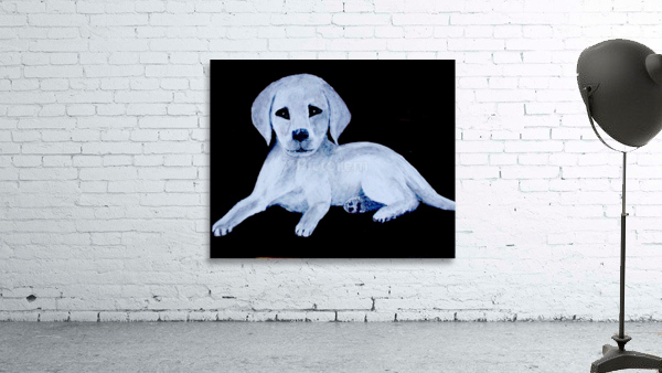 Chien Wall Preview