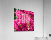 New_York_ Acrylic Print