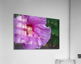 Flowers_ Acrylic Print