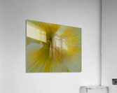Flowers_ Acrylic Print