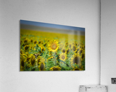 Wyoming_Solar_Eclipse Acrylic Print
