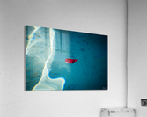 Drifting Love II Acrylic Print