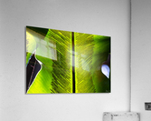 Transparent Acrylic Print