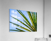 Loops III Acrylic Print