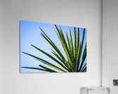 Loops IV Acrylic Print