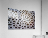 Another World Acrylic Print