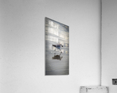 Bird II Acrylic Print