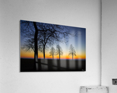 Trees II Acrylic Print