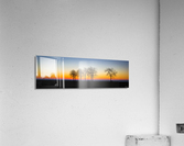 Trees III Acrylic Print