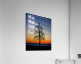 Trees IV Acrylic Print
