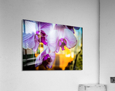 Orchids III Acrylic Print