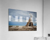 Solitude Acrylic Print