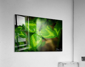 It Happens in Threes Acrylic Print