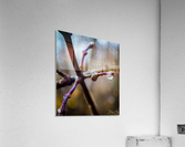 Colorful Disposition Acrylic Print