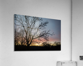 Sunrise Acrylic Print