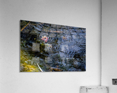 Rain Drops Acrylic Print