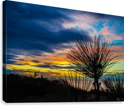 Rainbow Skies II Canvas Print