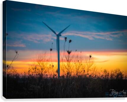 Watching the Sunset Together Canvas Print