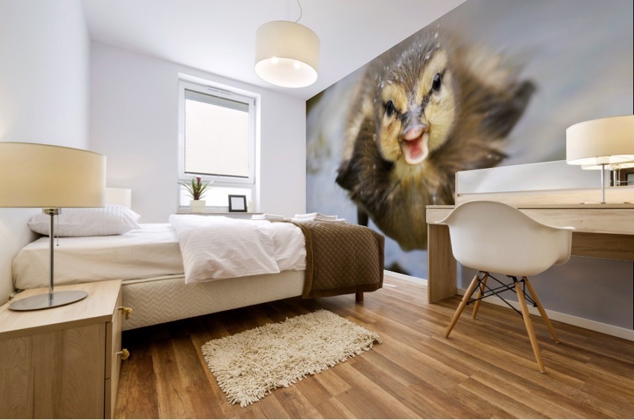 Vienna_ Mural print