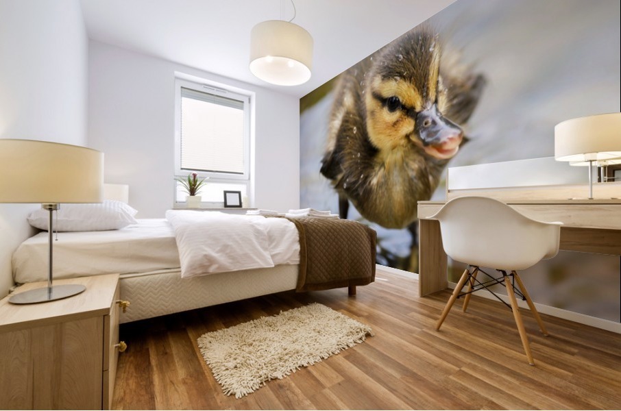 Vienna_ Mural print