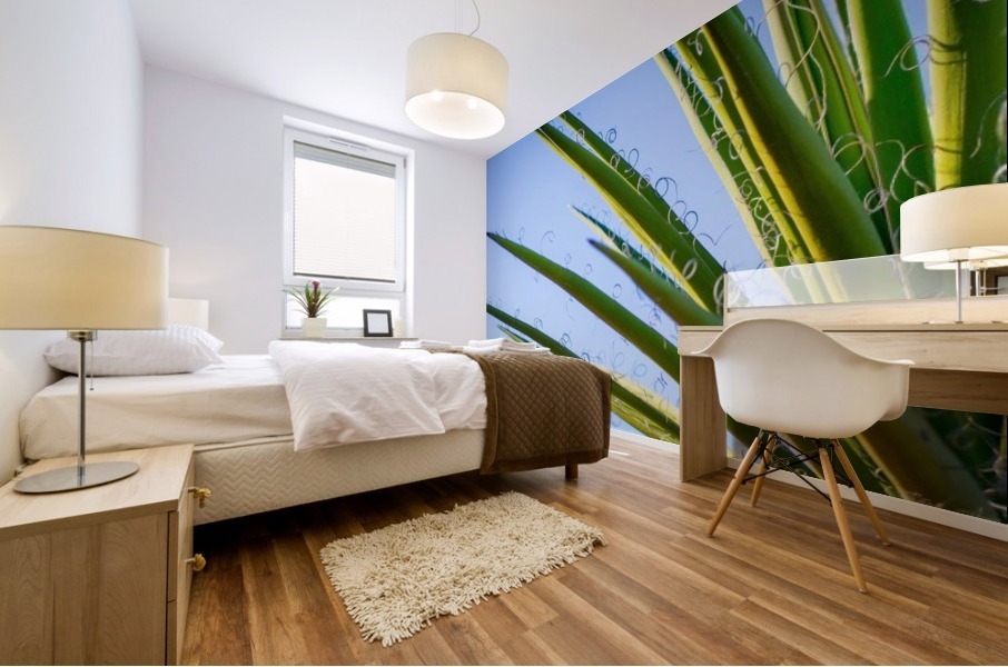 Loops III Mural print