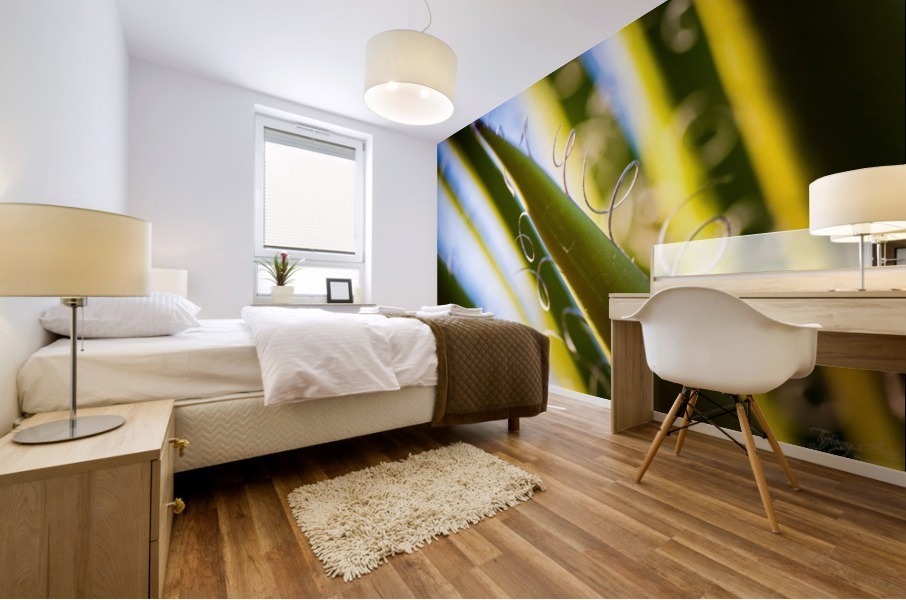Loops II Mural print