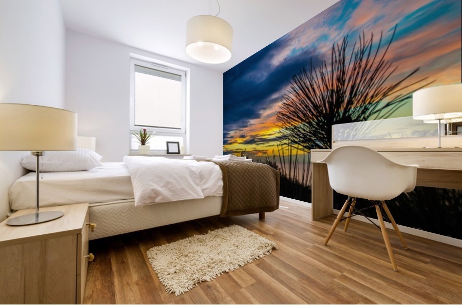 Rainbow Skies II Mural print
