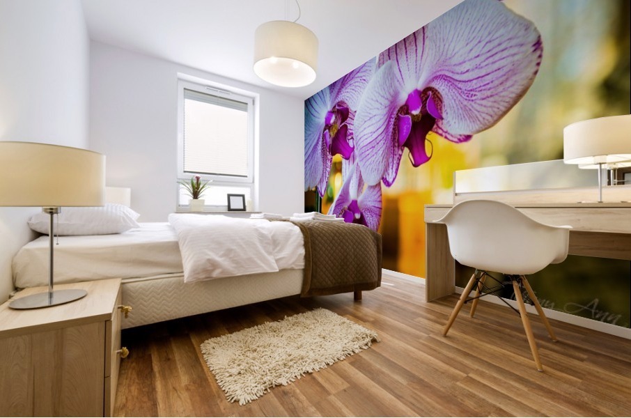 Orchids III Mural print